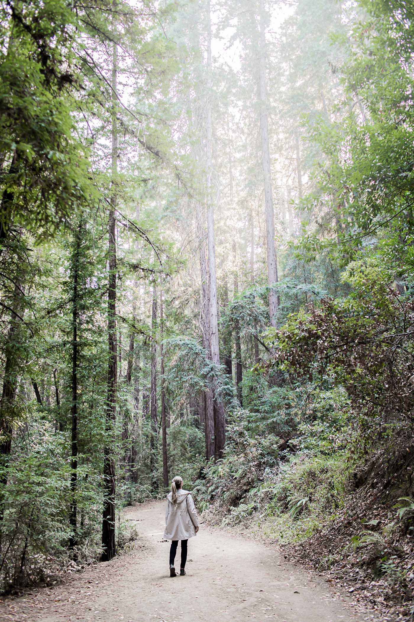 Hiking Through California at Wunderlich Park in Woodside, California.