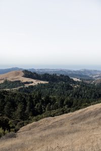 Hiking Through California at Borel Hill in San Mateo, California